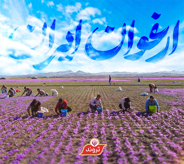 قاین، ارغون ایران